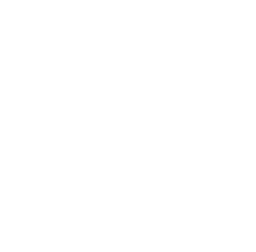 main heart left