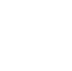 main heart left