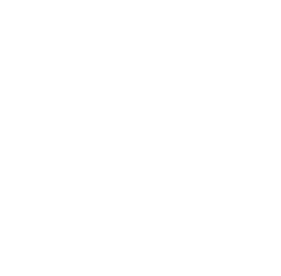 main heart left