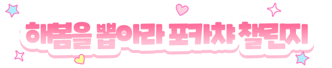 해봄 포카챠
